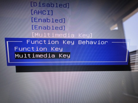 ���r���[